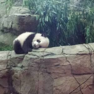 Meet your Posher, Traci